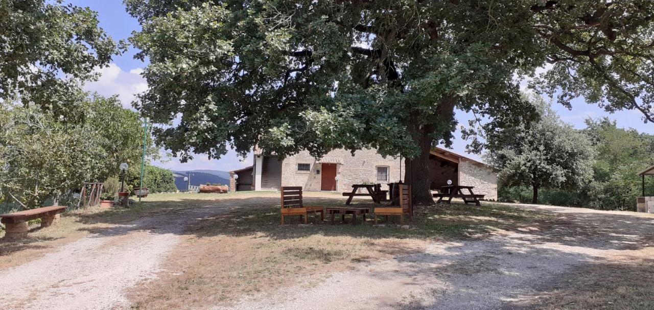 Casale Al Lago Con Piscina E Sauna Corbara  Bagian luar foto