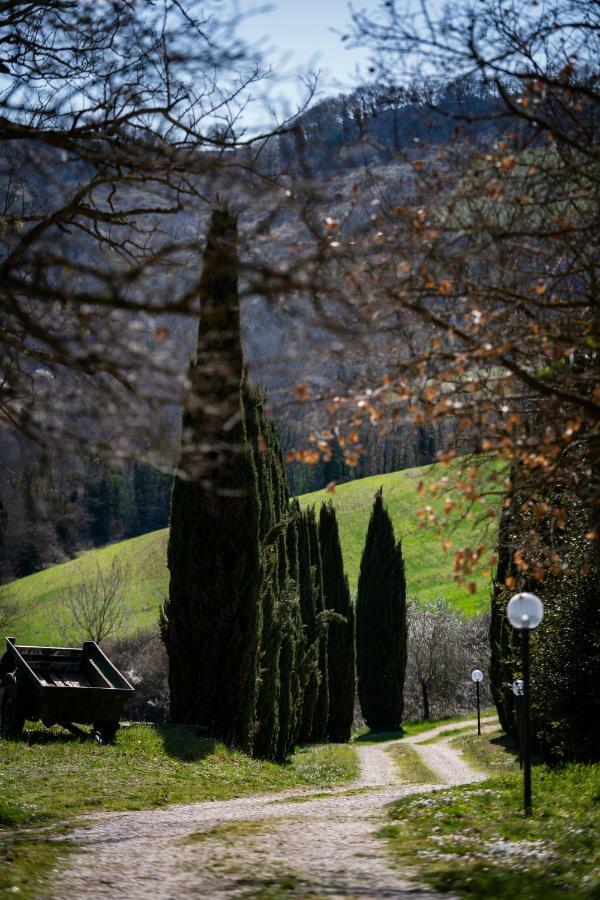 Casale Al Lago Con Piscina E Sauna Corbara  Bagian luar foto