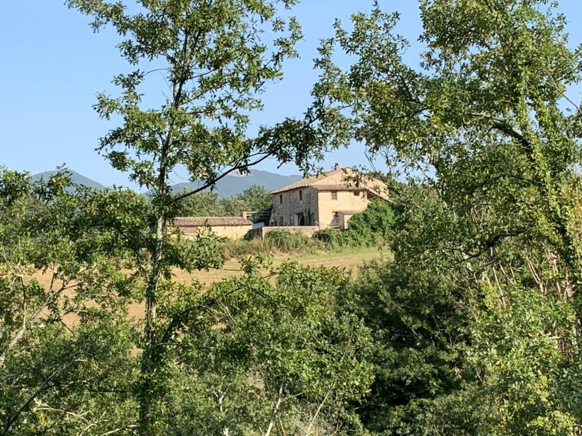 Casale Al Lago Con Piscina E Sauna Corbara  Bagian luar foto