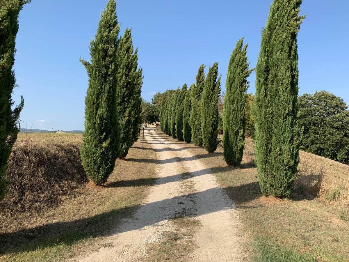 Casale Al Lago Con Piscina E Sauna Corbara  Bagian luar foto