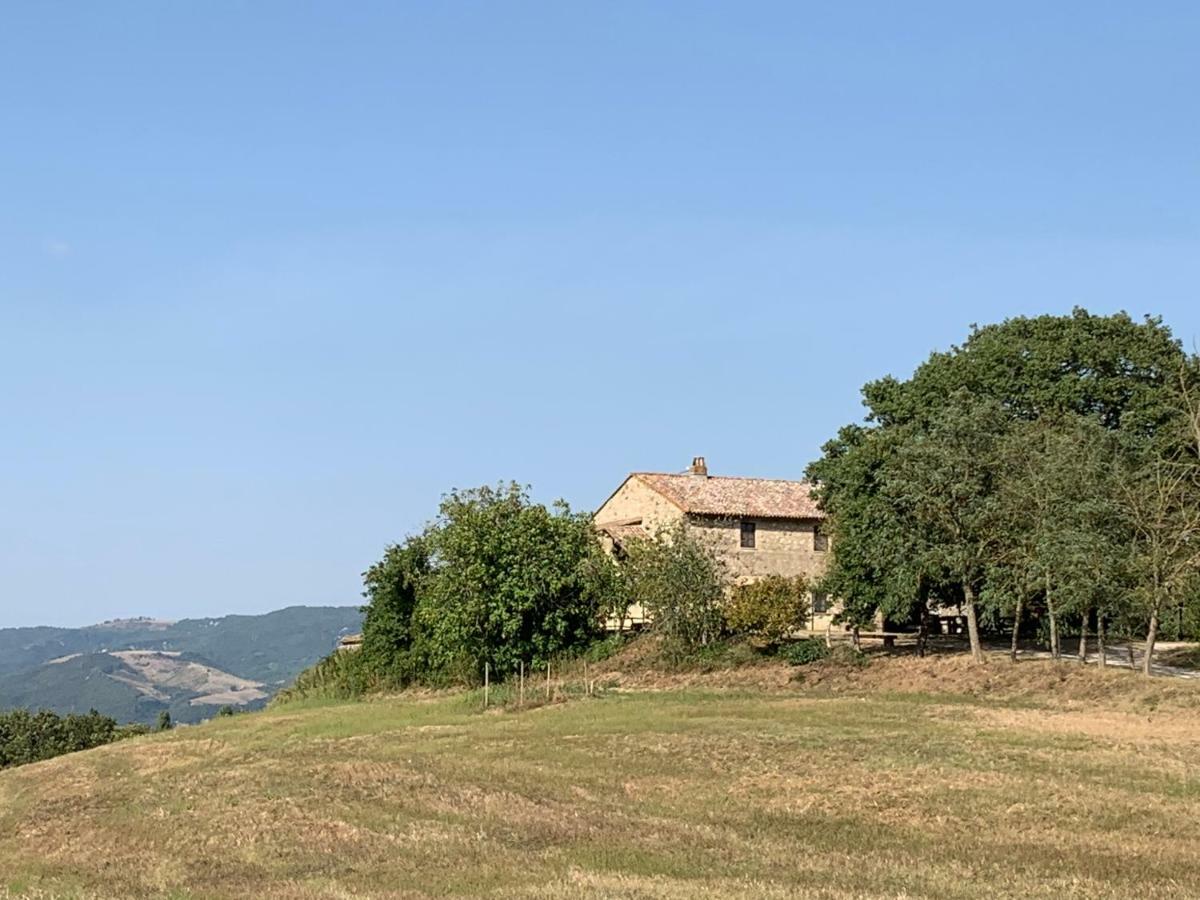 Casale Al Lago Con Piscina E Sauna Corbara  Bagian luar foto