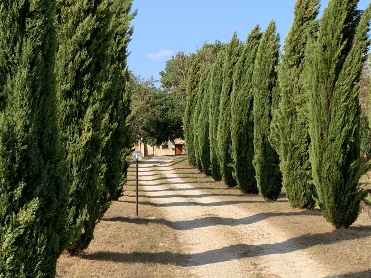 Casale Al Lago Con Piscina E Sauna Corbara  Bagian luar foto